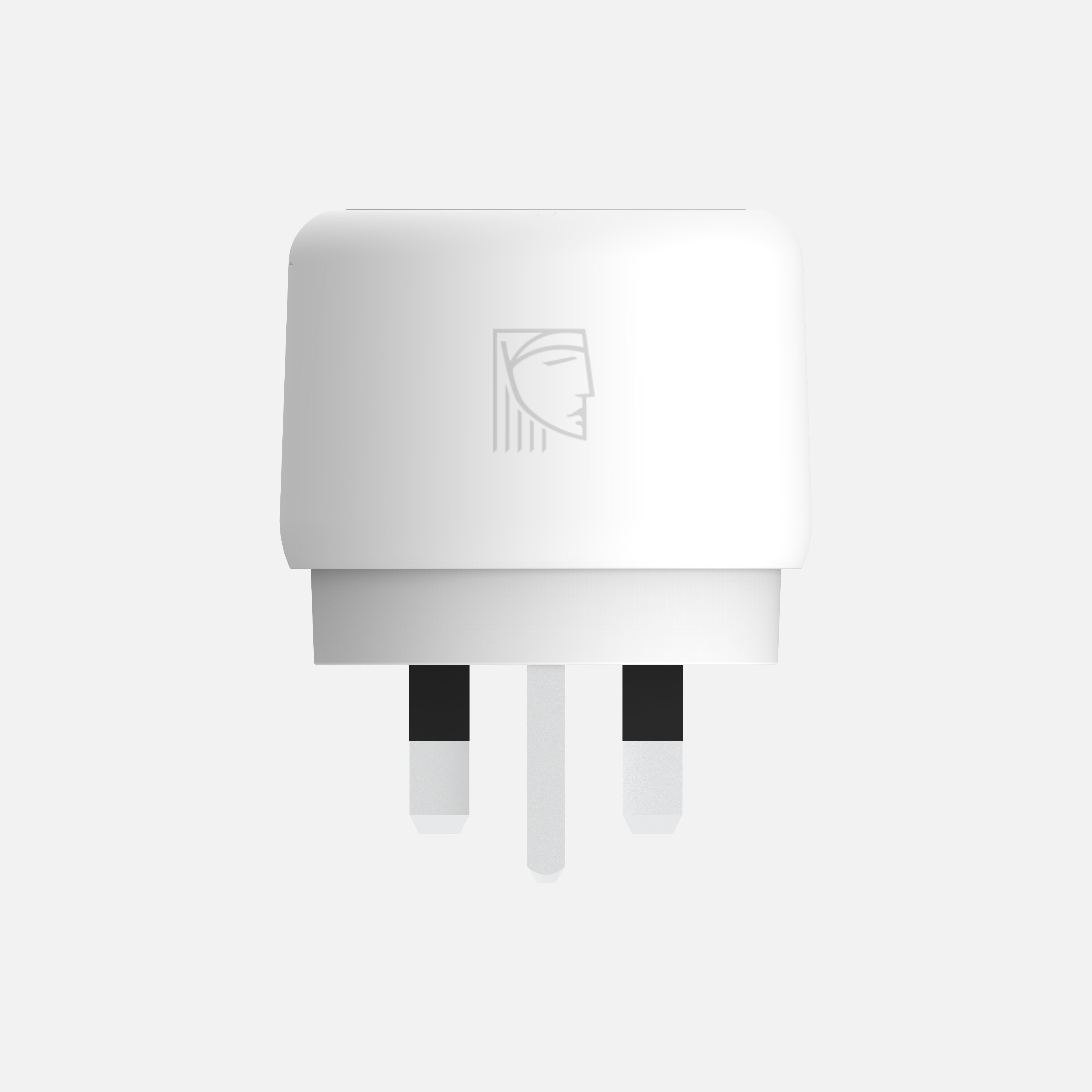 Elliot - EU to UK Adapter - Ice White